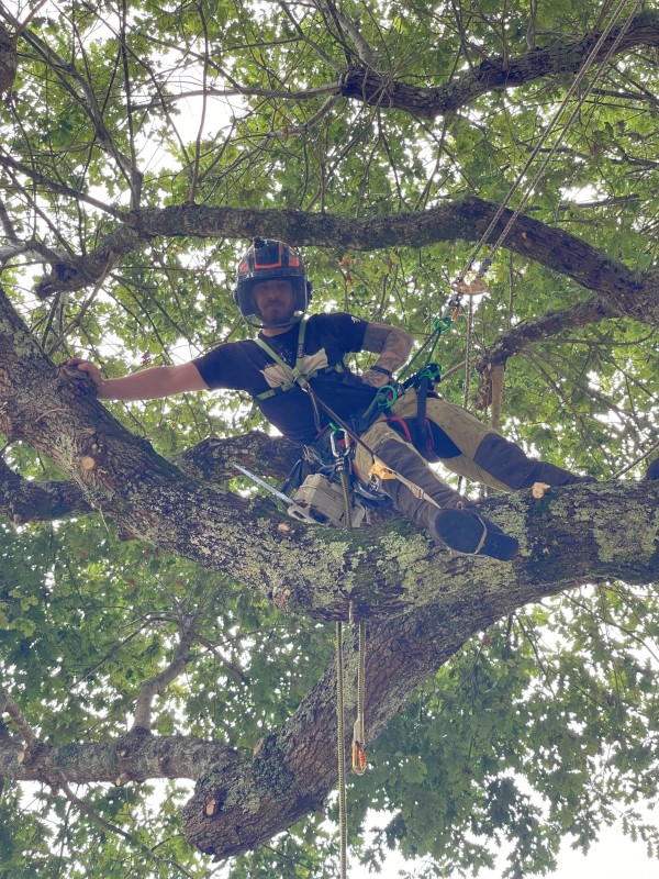 Quel équipe contacter pour une intervention tout en sécurité dans une situation critique sur un arbre situé à Biscarrosse ?