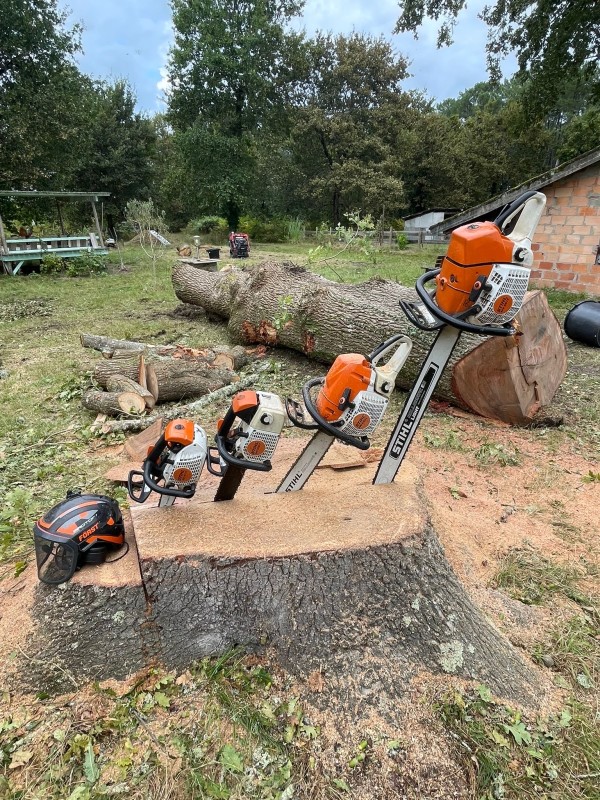 Comment intervenir pour abattre un chêne dangereux en toute sécurité près de Sanguinet ?
