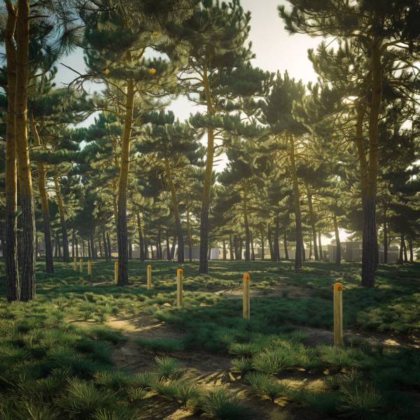 Quelles sont les meilleures pratiques pour l’entretien des haies et arbustes à Parentis-en-Born ?