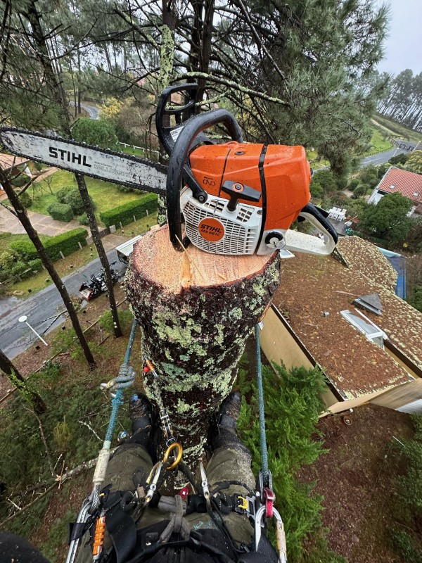 Faire abattage d'arbres après tempête pour sécuriser votre habitation à Mimizan