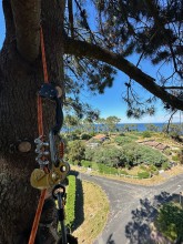Notre zone d'activité pour ce service Faire abattre un arbre avec extraction de la souche