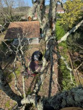 Nos prestations sur le secteur de La Teste-de-Buch Gironde 33