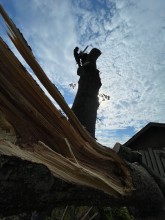 Nos prestations sur le secteur de Parentis-en-Born