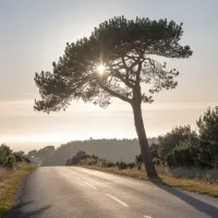 Nos prestations sur le secteur de Parentis-en-Born