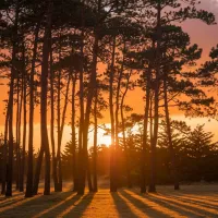 Nos prestations sur le secteur de Biscarrosse Landes