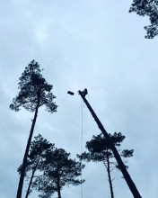 Nos prestations sur le secteur de Biscarrosse Landes